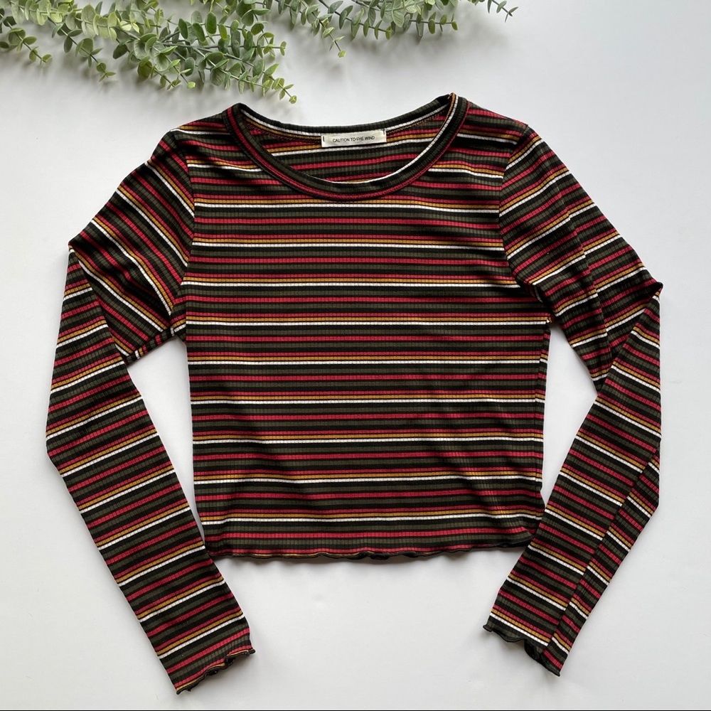 Striped Long Sleeve Crop Top